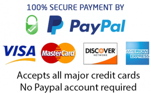 paypal-secure-payment